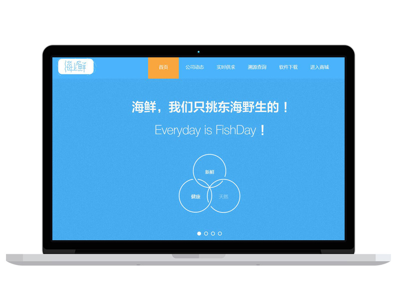 寧波海鮮公司高端官網建設 自適應全網通網站建設 百度排名推廣